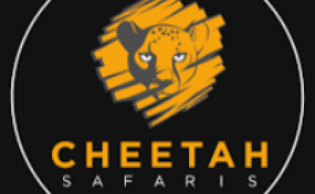 Cheetah Safaris